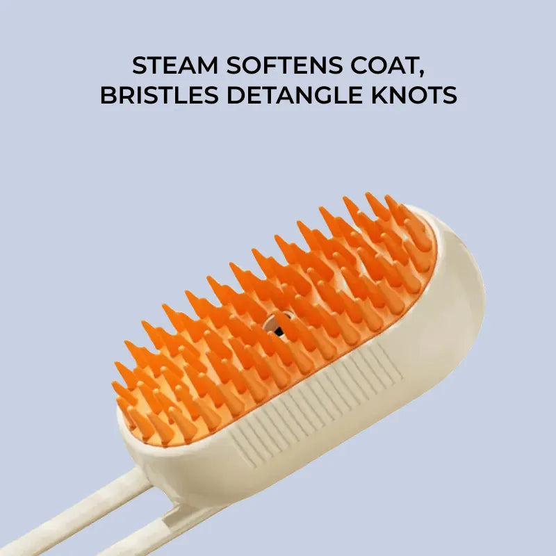 AquaCare+ Steam Brush