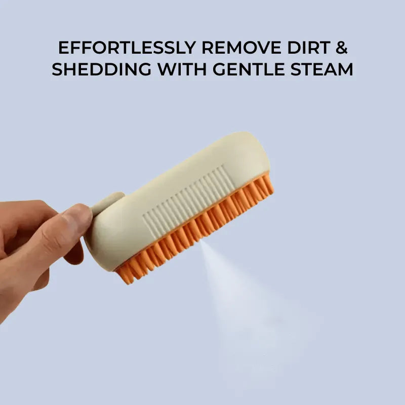 AquaCare+ Steam Brush